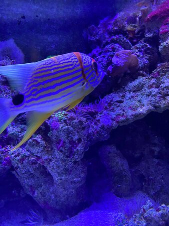 Ningaloo Aquarium & Discovery Centre-埃克斯茅斯必去景点