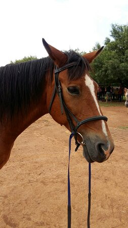 Saddle Creek Adventures-Hekpoort必去景点