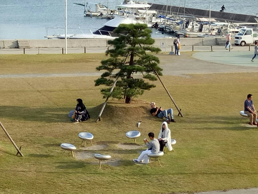 Shikoku Ferry景点图片