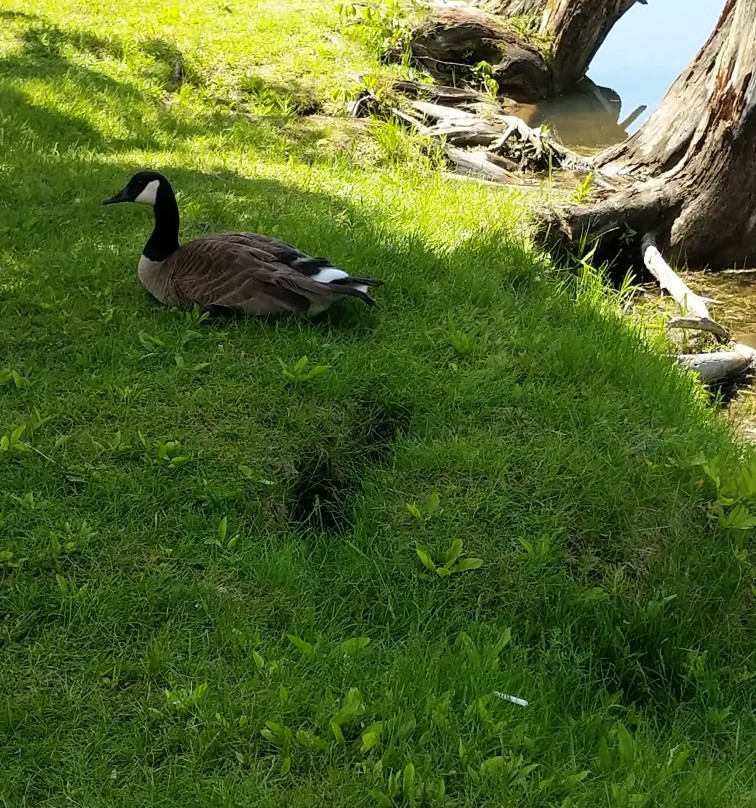 Parc du Grand-Coteau-Mascouche必去景点
