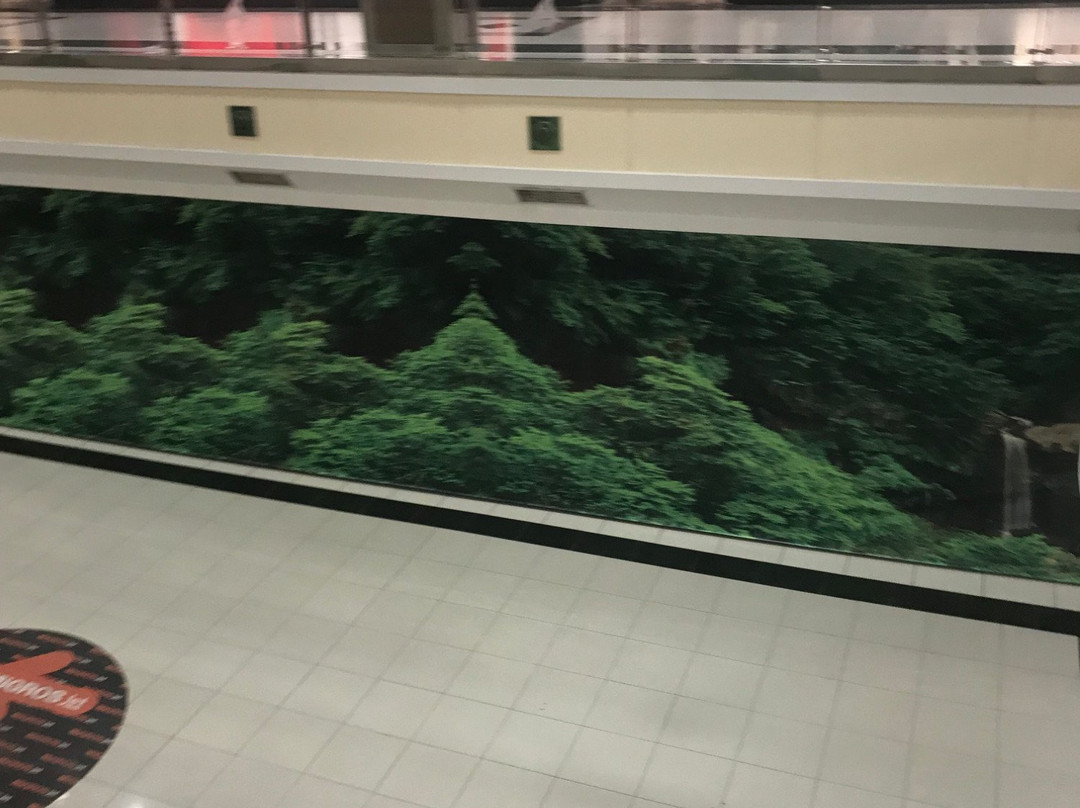 As Merkez Outlet-奥斯曼加奇必去景点