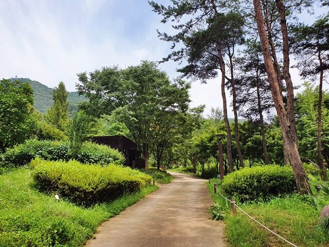 Daegaya Arboretum景点图片