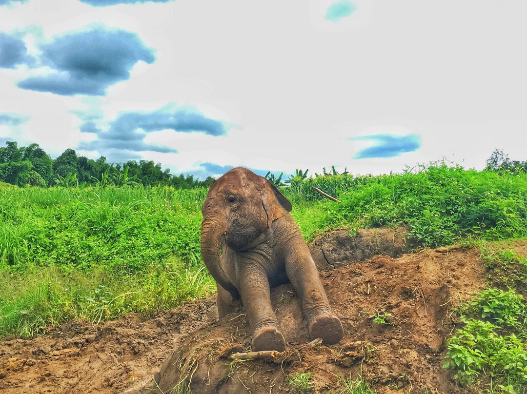 兰纳王国旅游-清迈必去景点