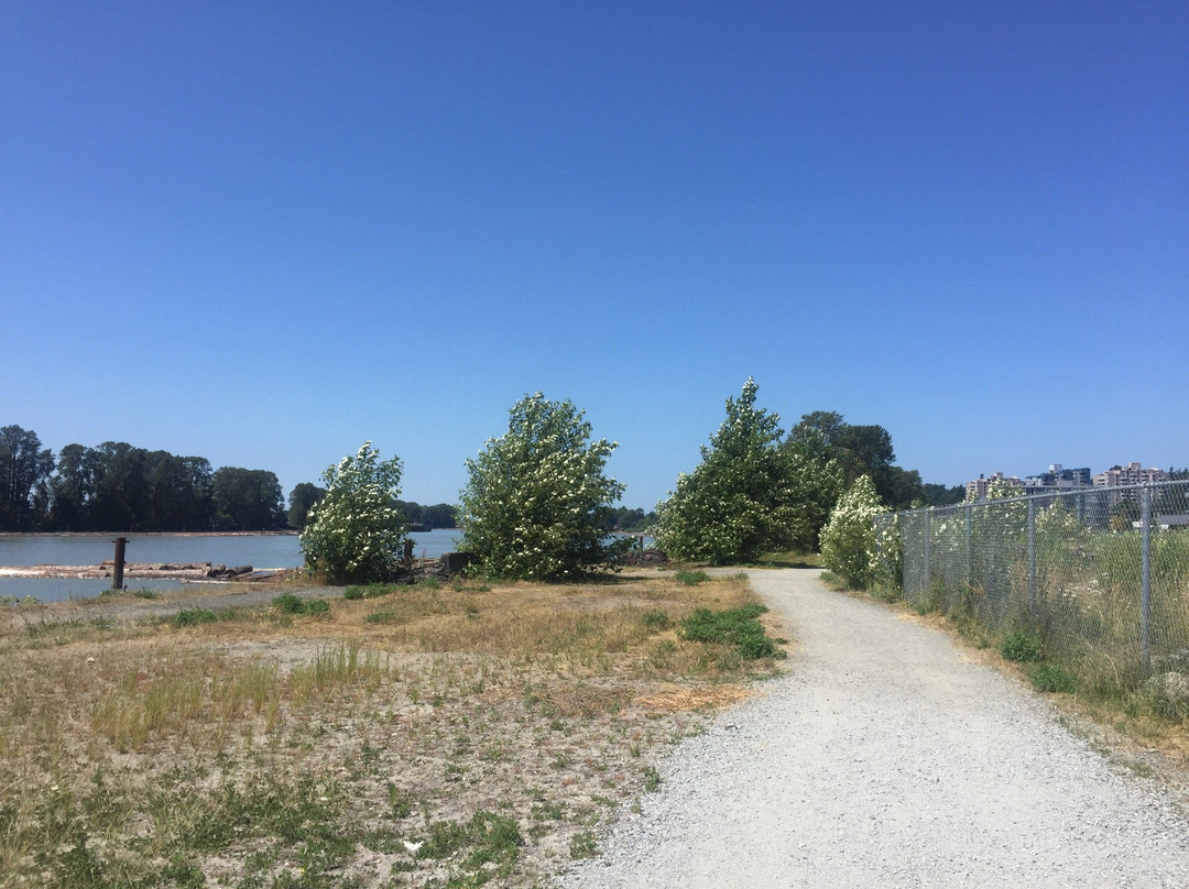 River Front Park景点图片