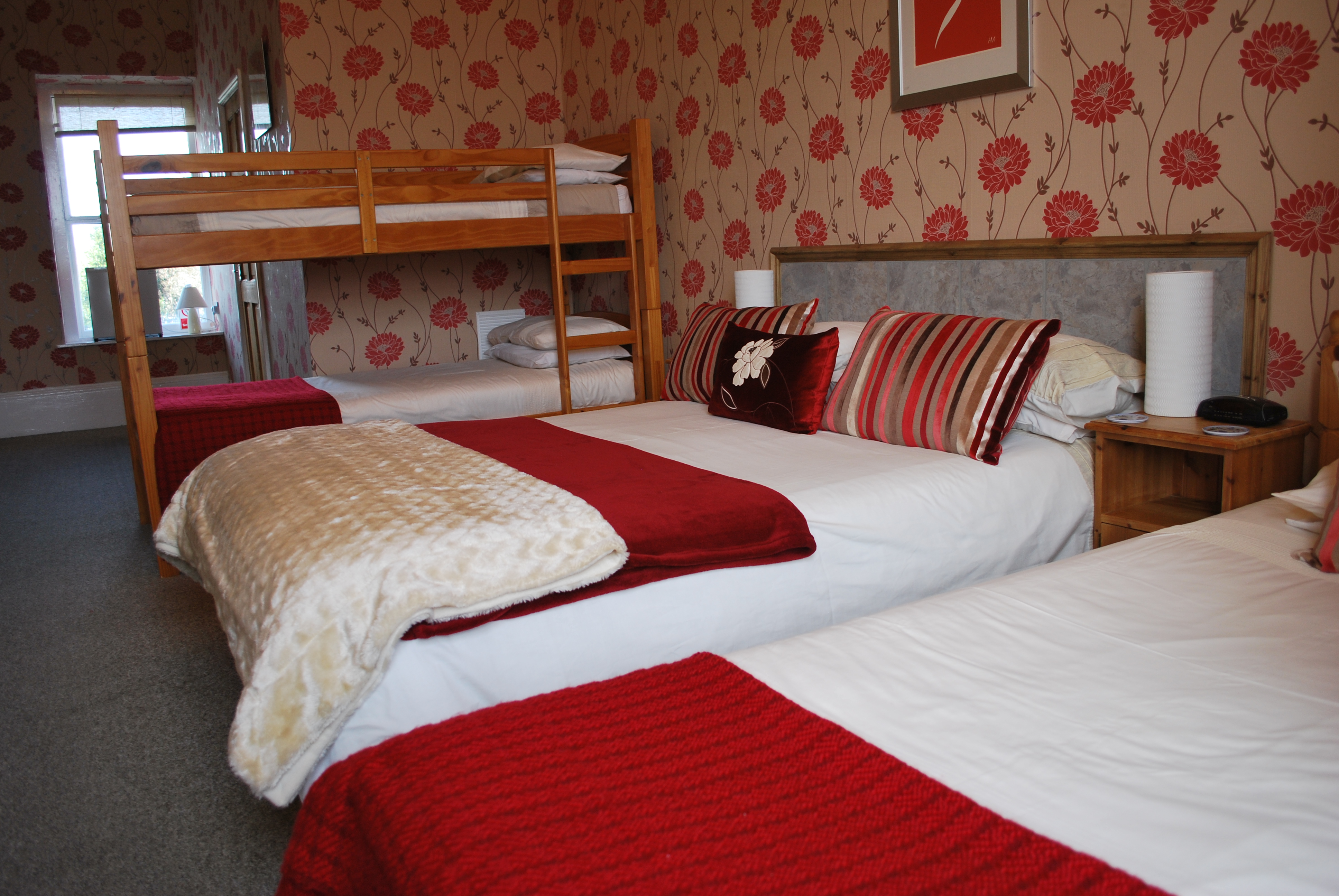 College Guest House-官方