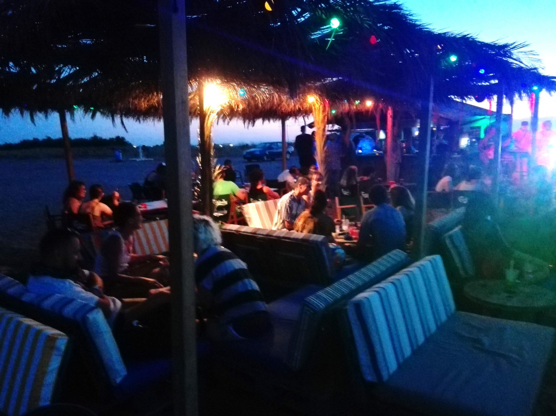 Roots Beach Bar Music & Drinks
