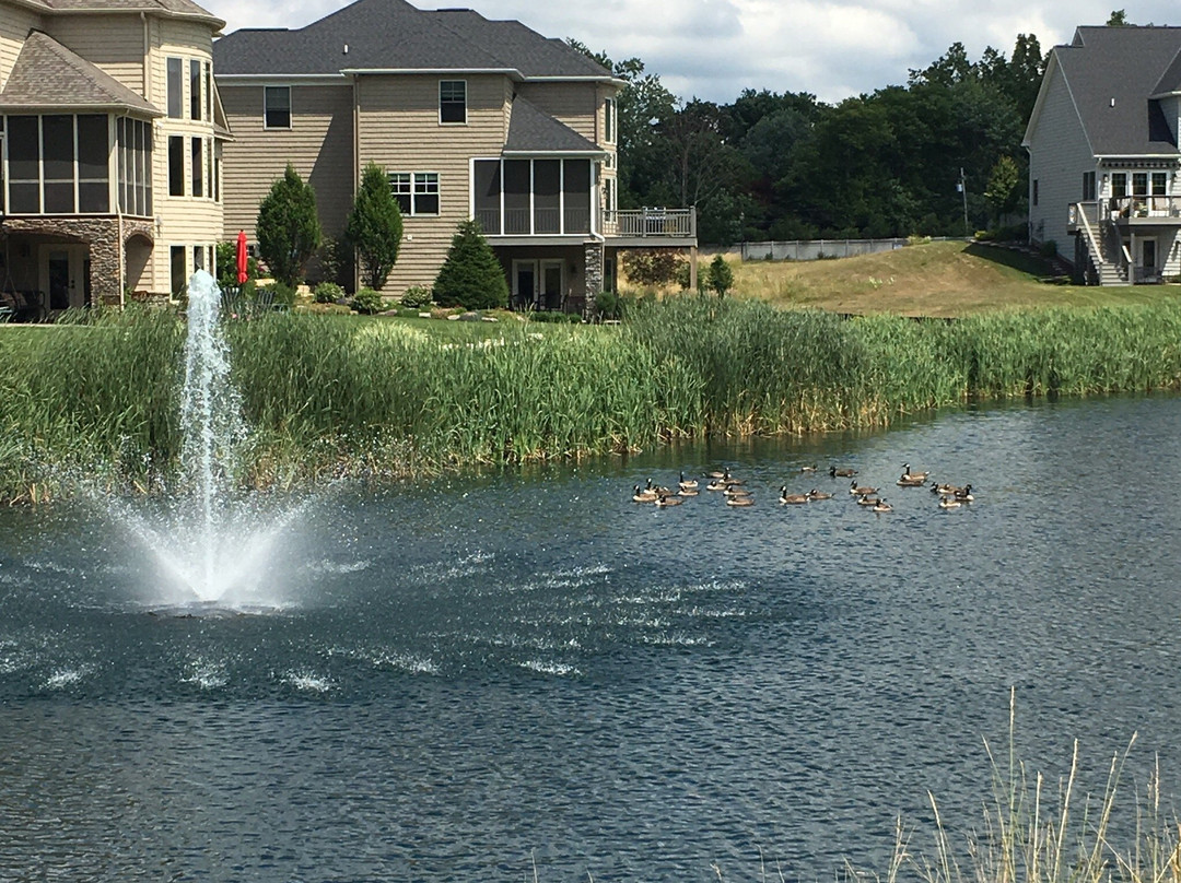 Lyndhurst旅游攻略图片