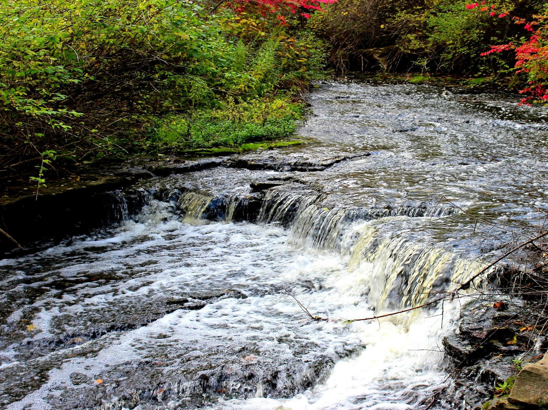 Royalton Ravine Park景点图片