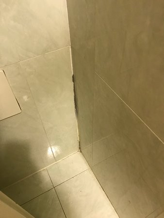 白宫公寓酒店主图