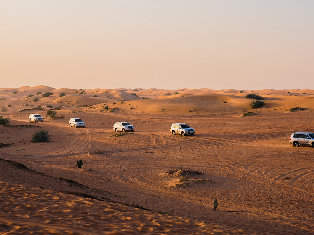 Evening Desert Safari with Camel Ride & Sandboarding (Premium Experience)