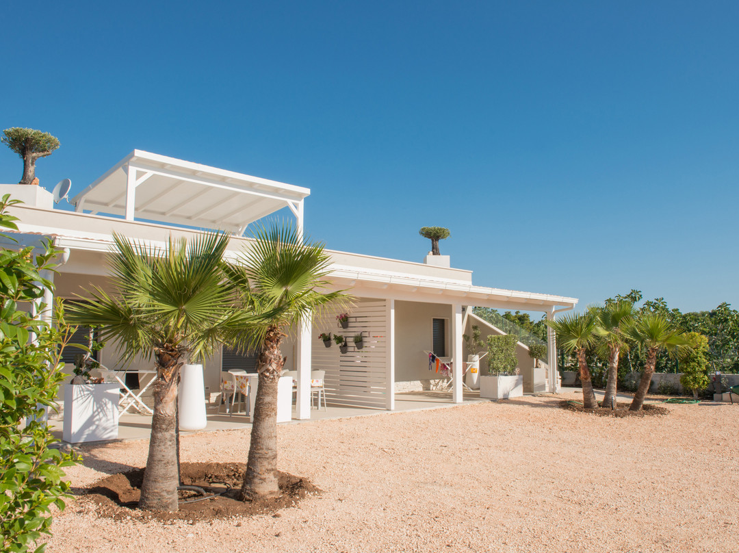 Palude Mezzane旅游攻略图片