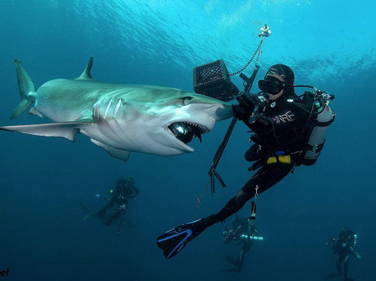 Jupiter Scuba-朱庇特必去景点