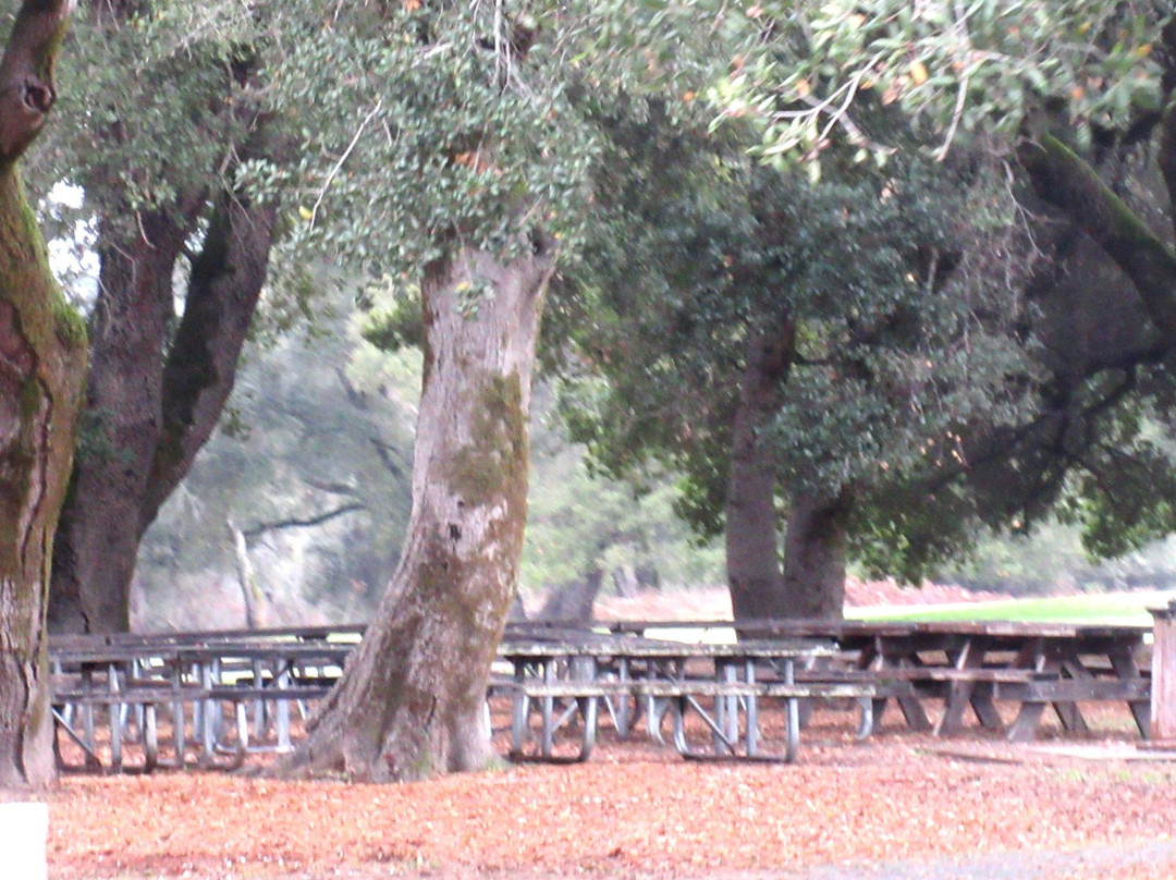 Ragle Ranch Regional Park景点图片