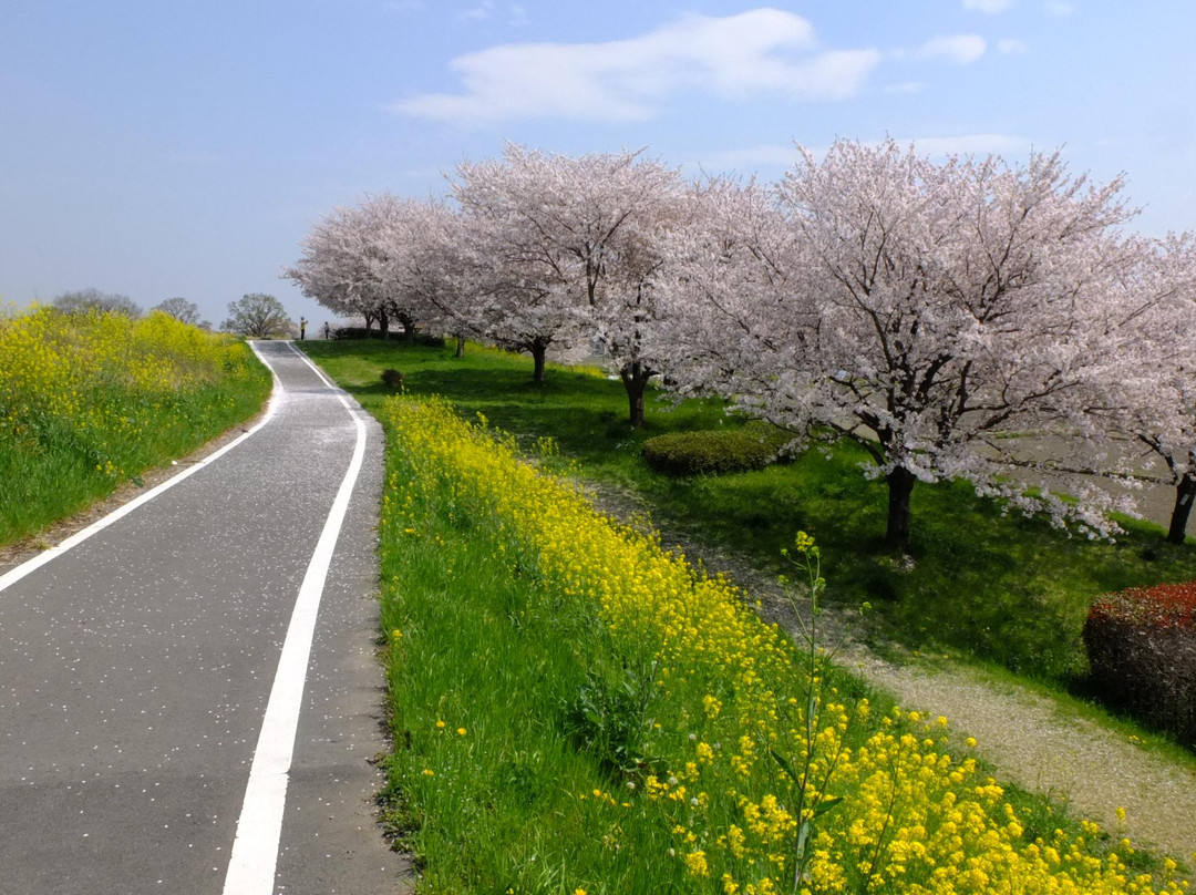 Saitama Prefectural Road 157 Kawagoe Sayama Bike Trail