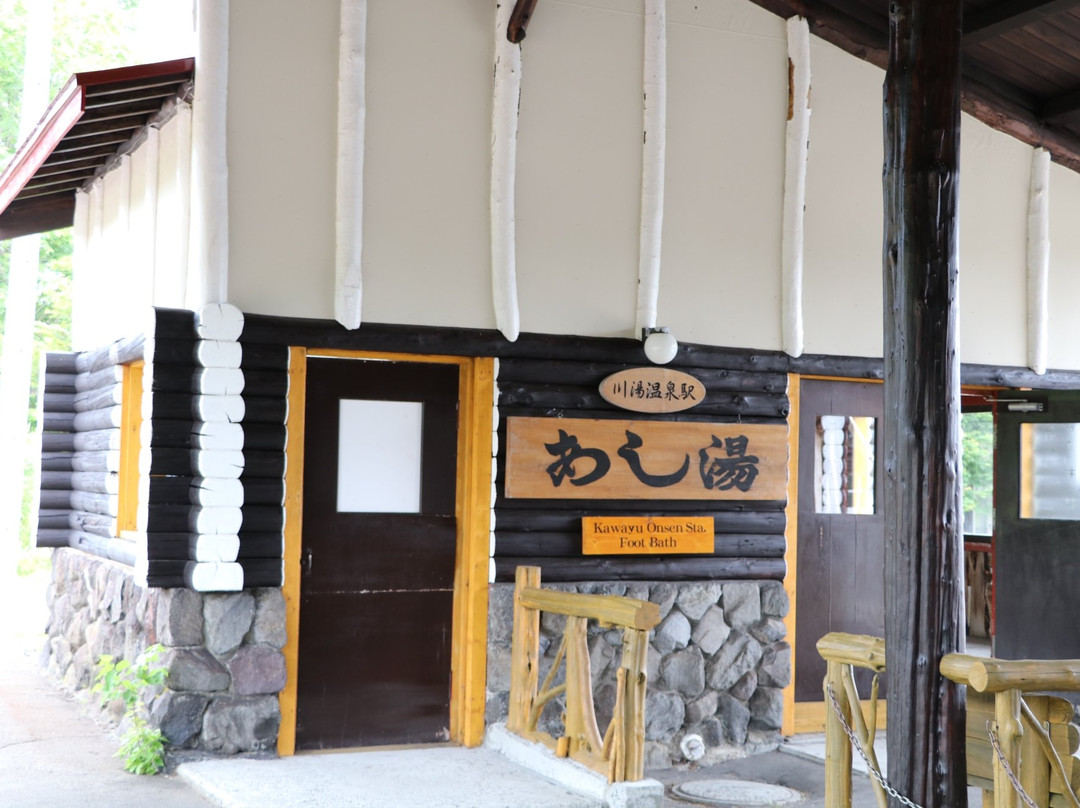 Kawayuonsen Station Footbath-弟子屈町必去景点