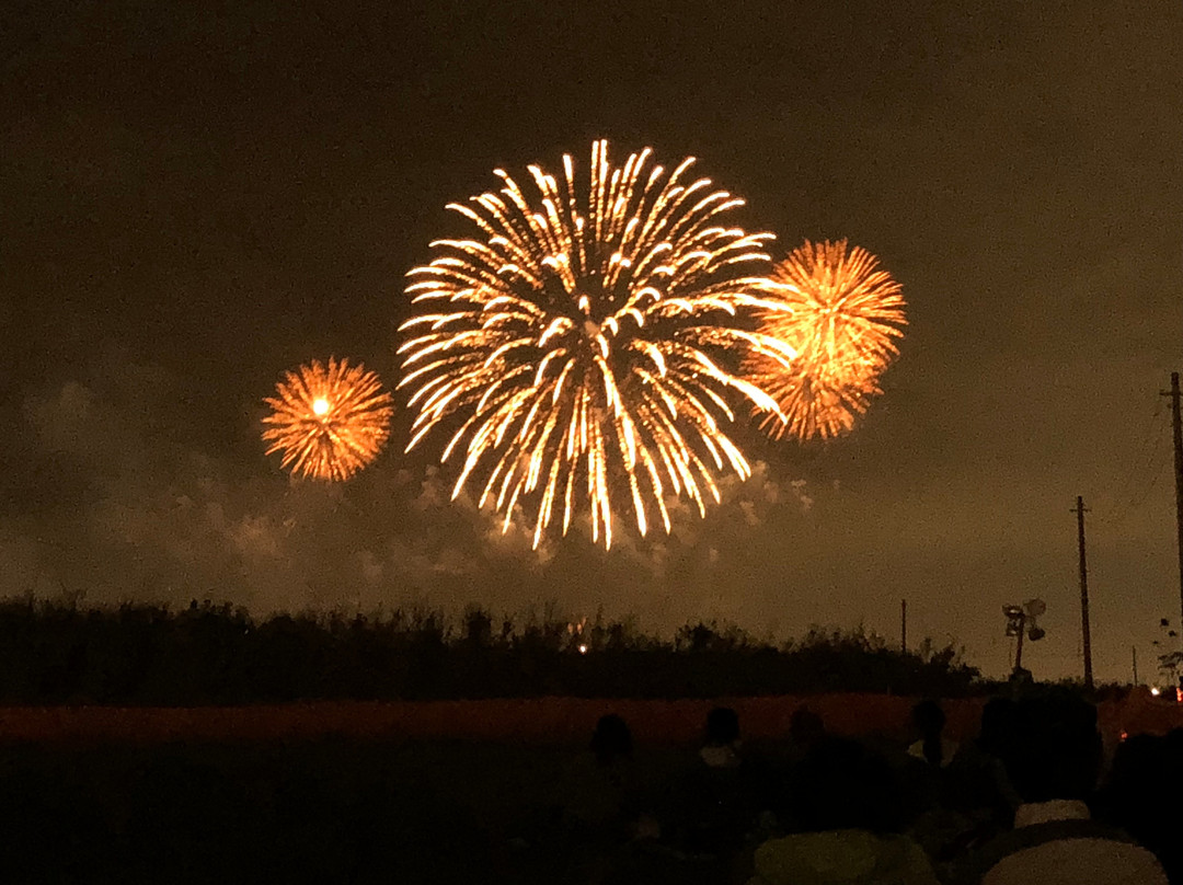 Konosu Fireworks景点图片