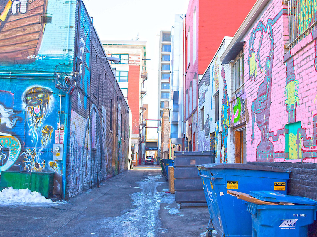 Freak Alley Gallery景点图片