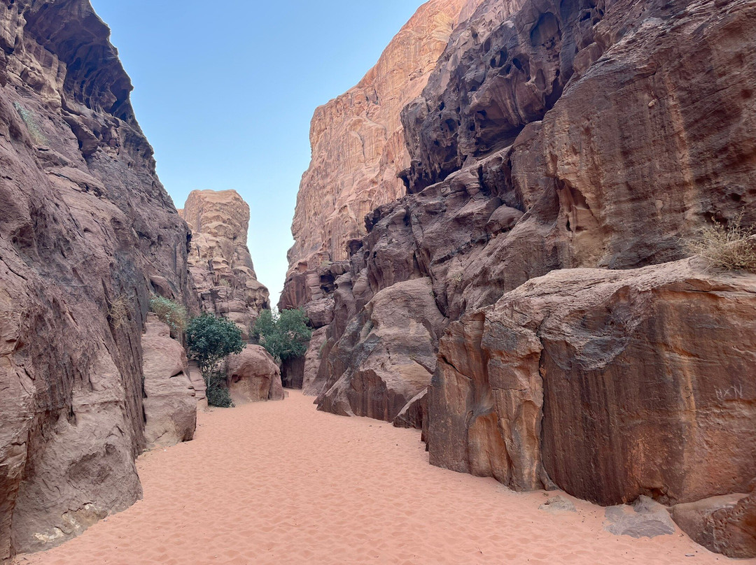 Desert Dream Camp