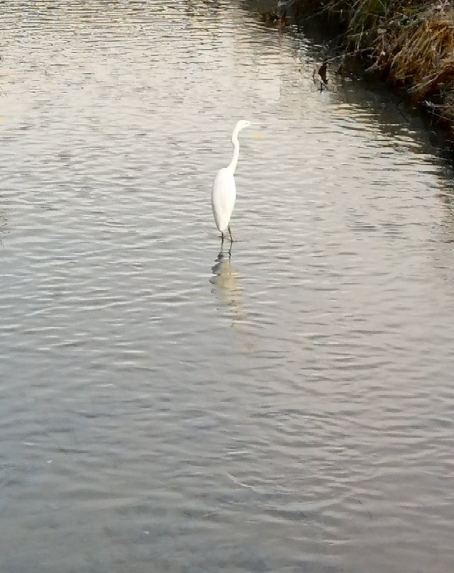 Parco del Lambro Meridionale e del Ticinello-Siziano必去景点