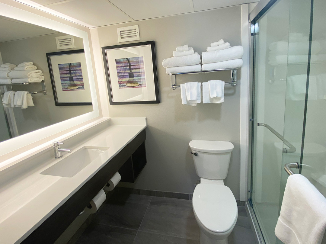 科尔尼假日酒店主图