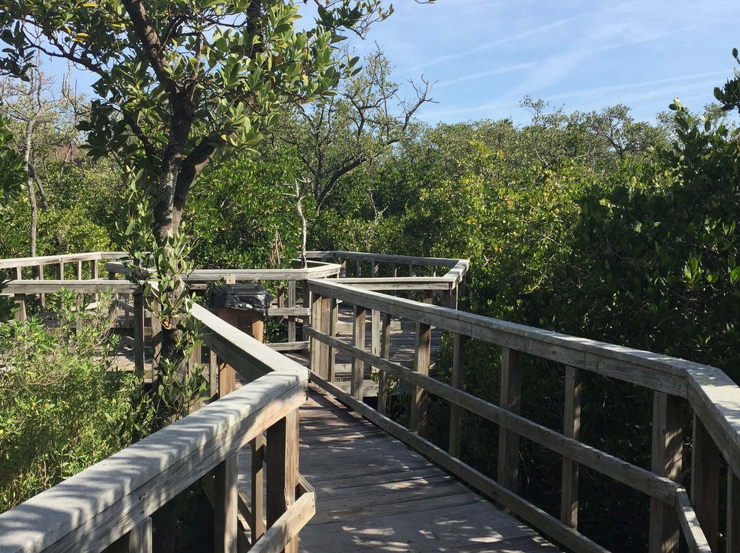 Indian Rocks Beach Nature Preserve景点图片