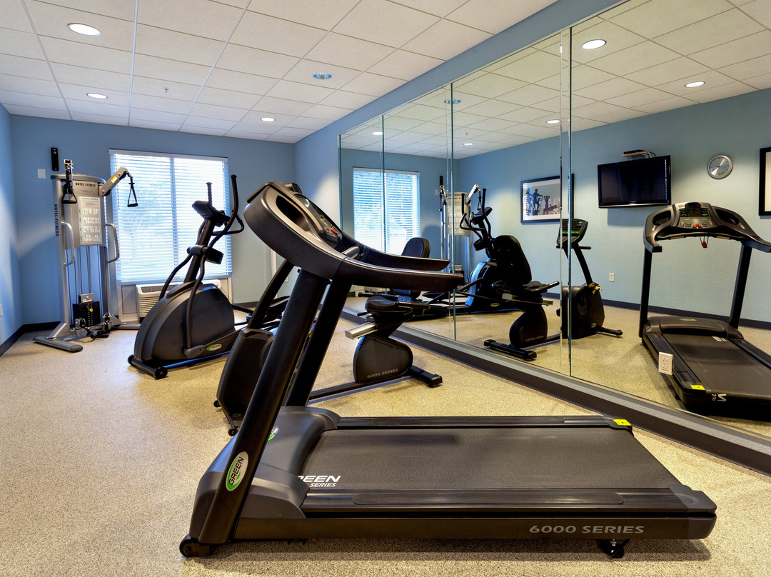 阿卡迪亚快捷假日&套房酒店主图