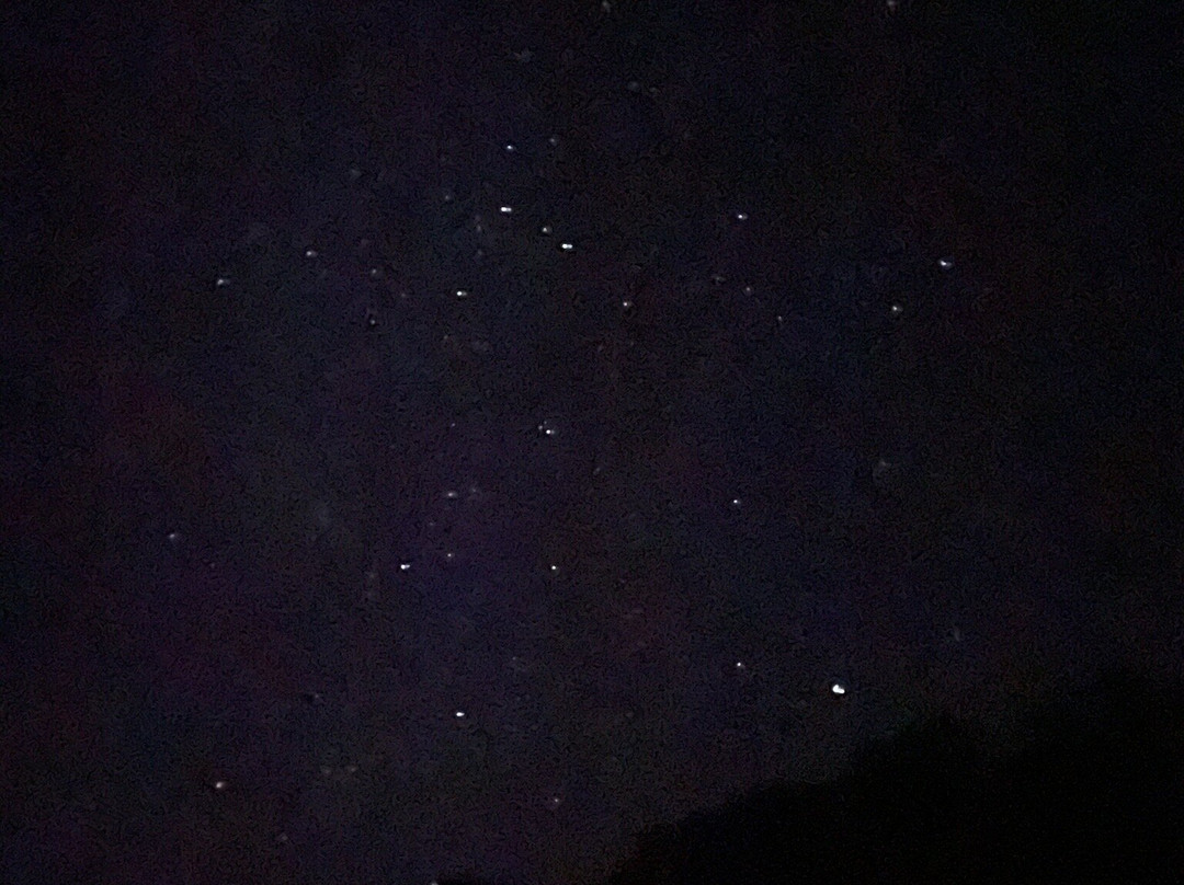 Eddy’s Bioluminescent Reserve景点图片