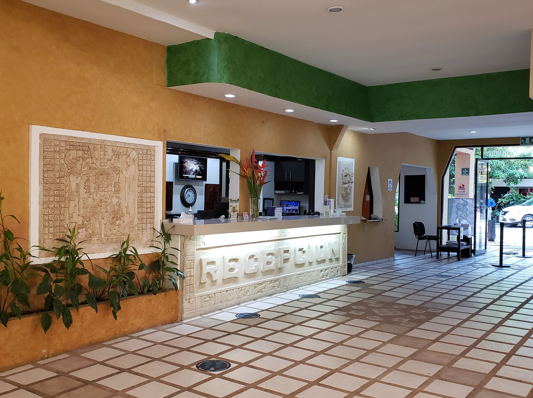 Maya Tulipanes Express主图