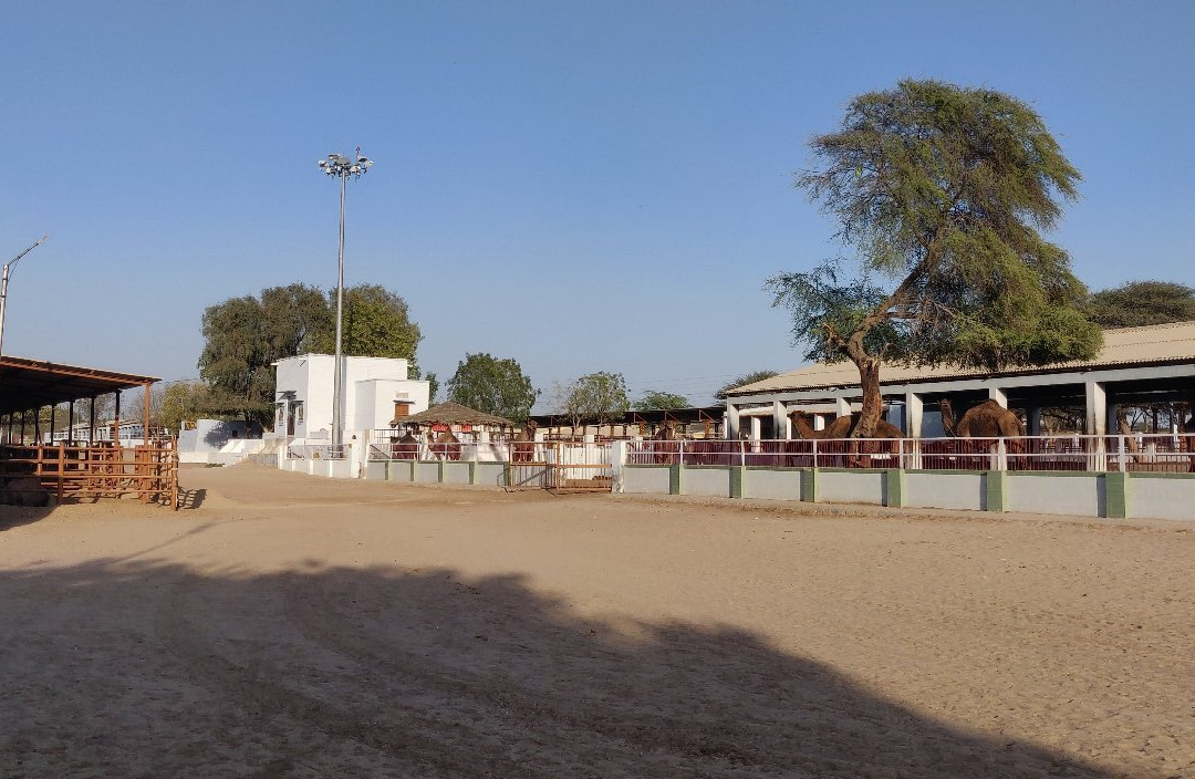 National Research Centre on Camel-碧卡内必去景点