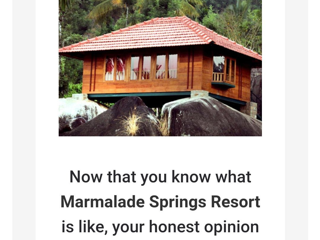 Marmalade Springs主图