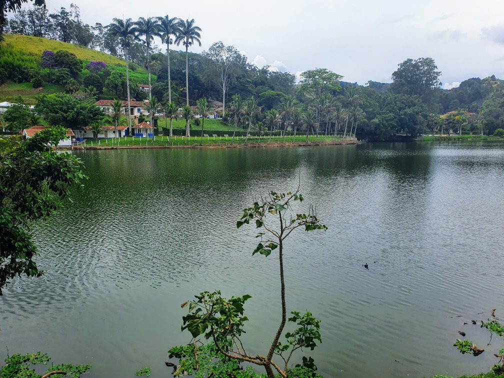 Lago Javary景点图片