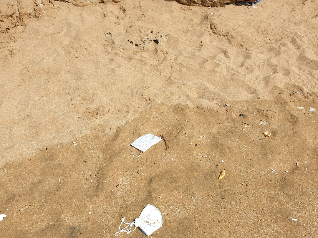 Ree Shahr-Bushehr必去景点