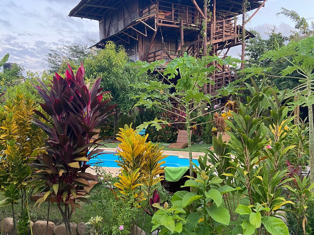 Nuba Boutique Hostel主图