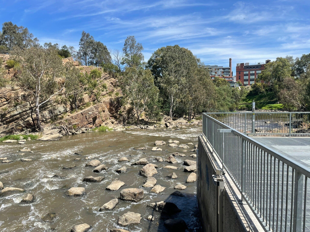 Dight's Falls Reserve景点图片