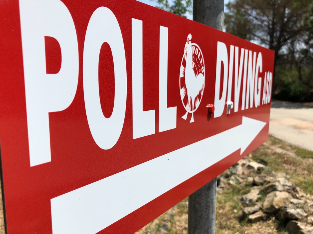 Pollo Diving ASD-Porto Pollo必去景点