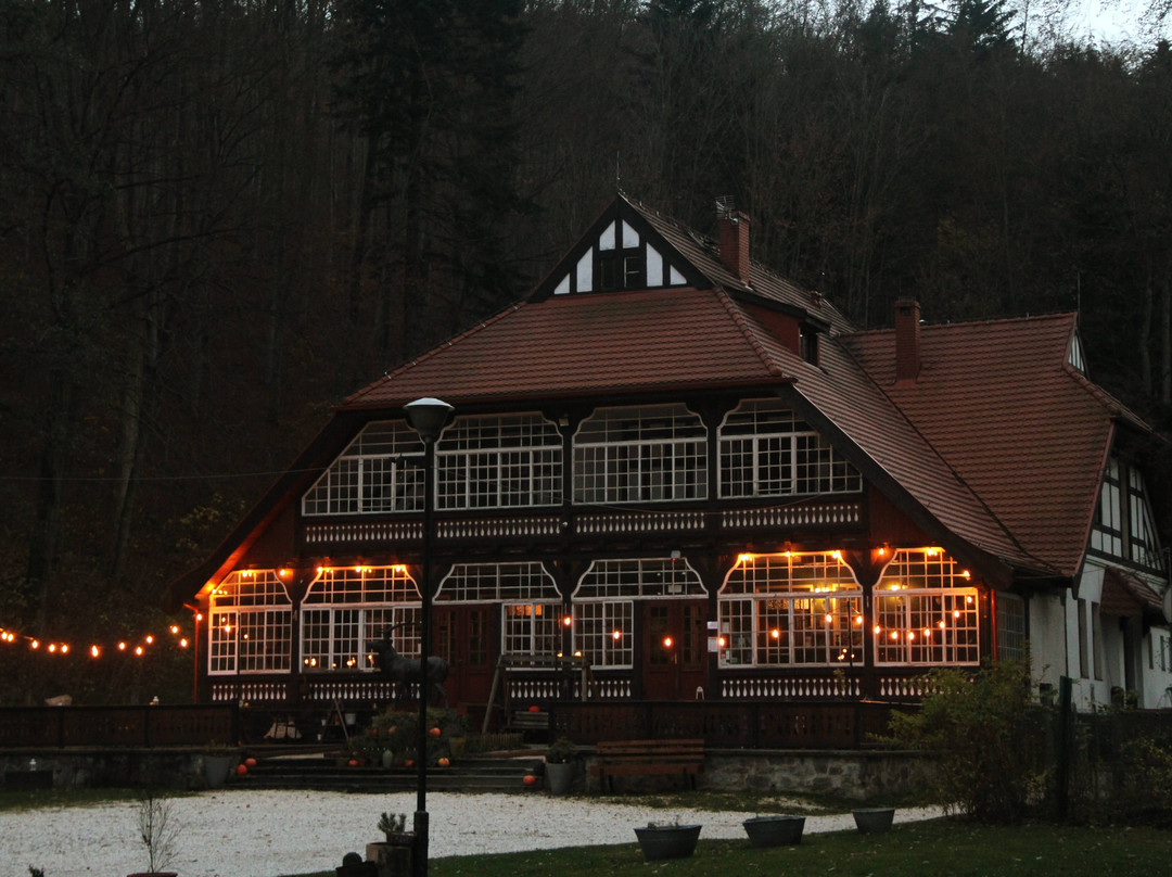 Złoty Jar Guest House主图