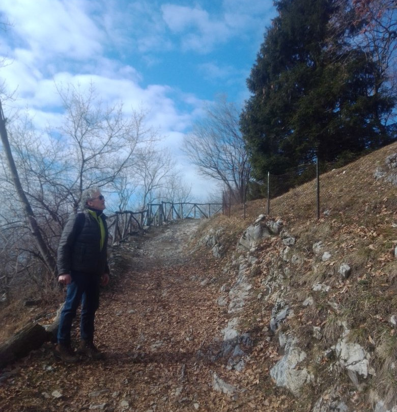Parco Alpe del Viceré景点图片