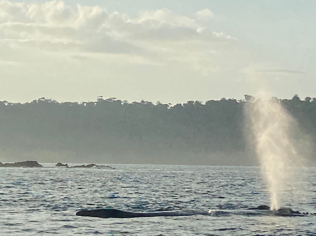 Corcovado Info Center-德雷克湾必去景点