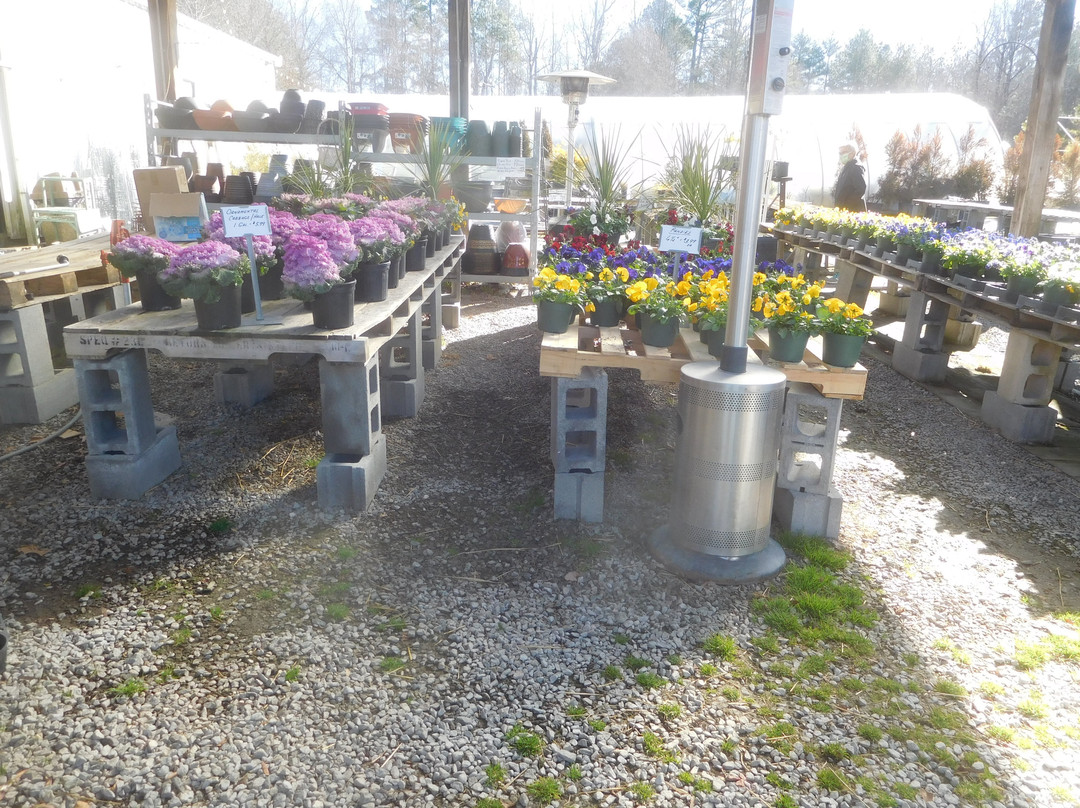 Clay's Garden Center & Farm Market-Blackstone必去景点