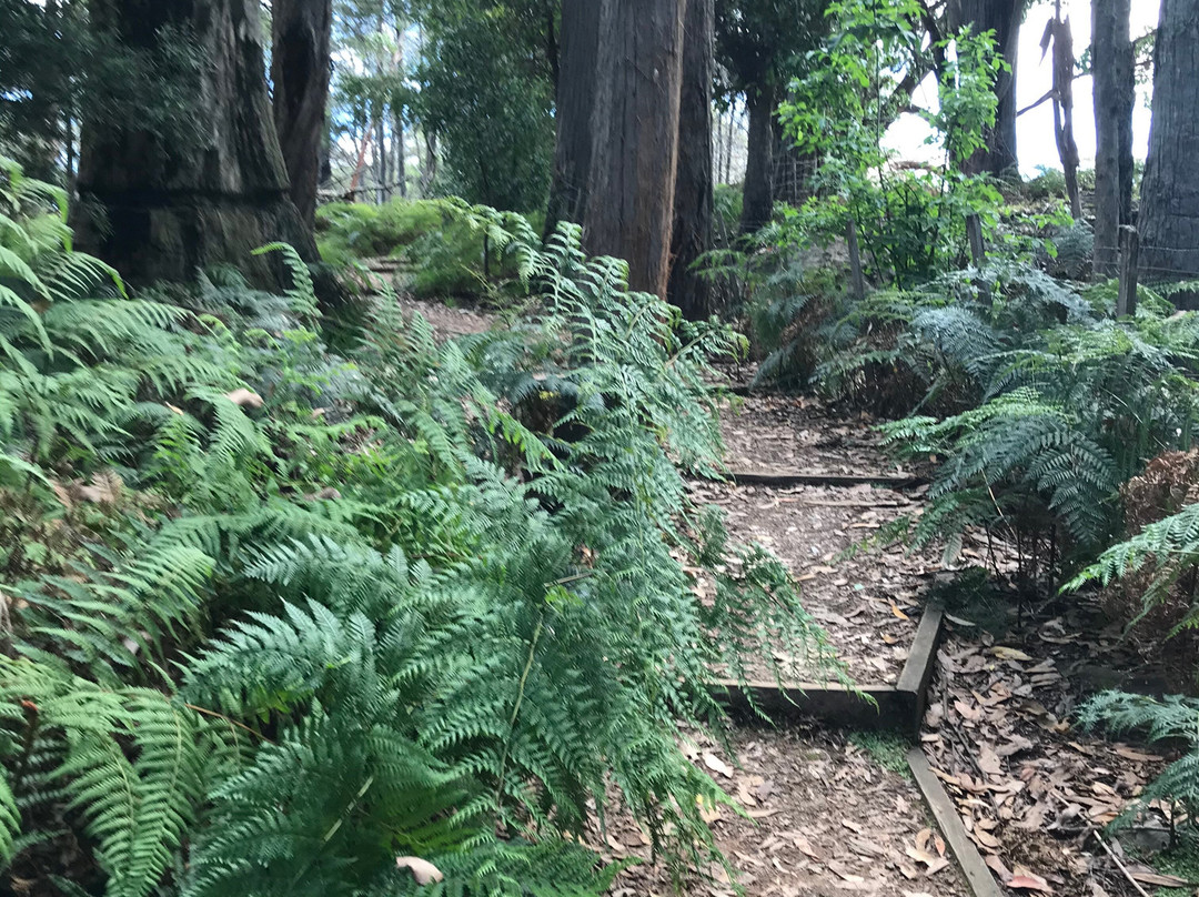 Alum Cliffs-Chudleigh必去景点