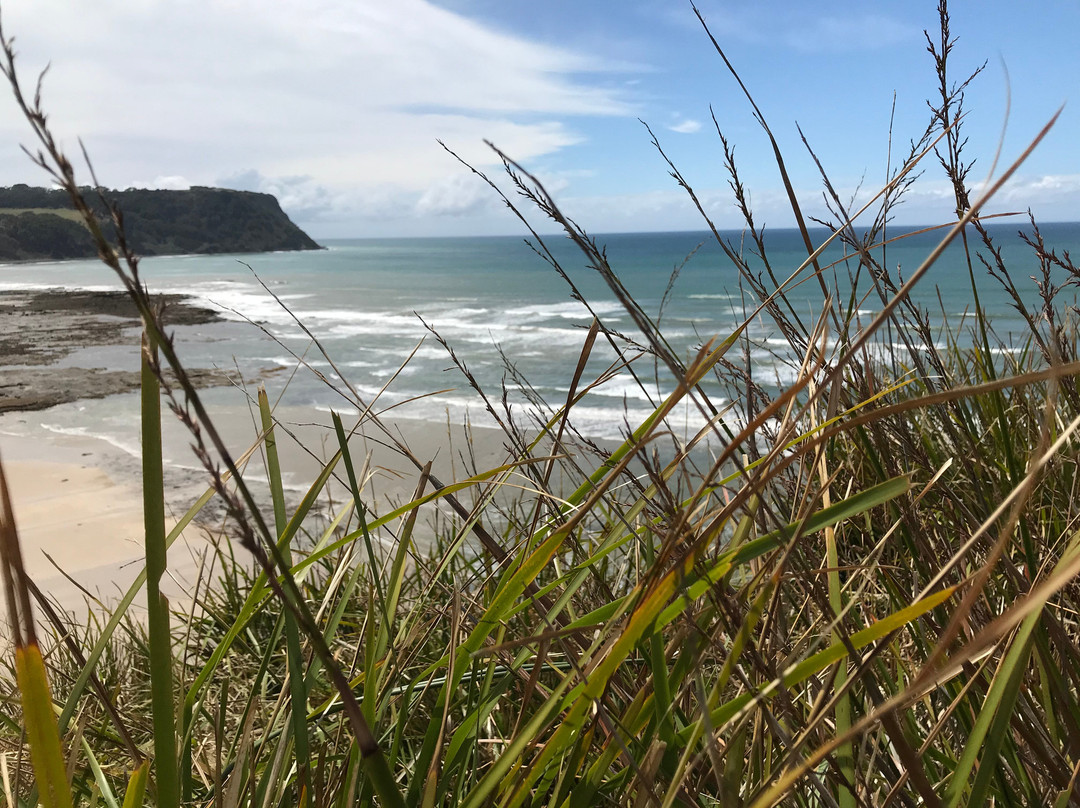 Fossil Bluff Lookout-温耶德必去景点