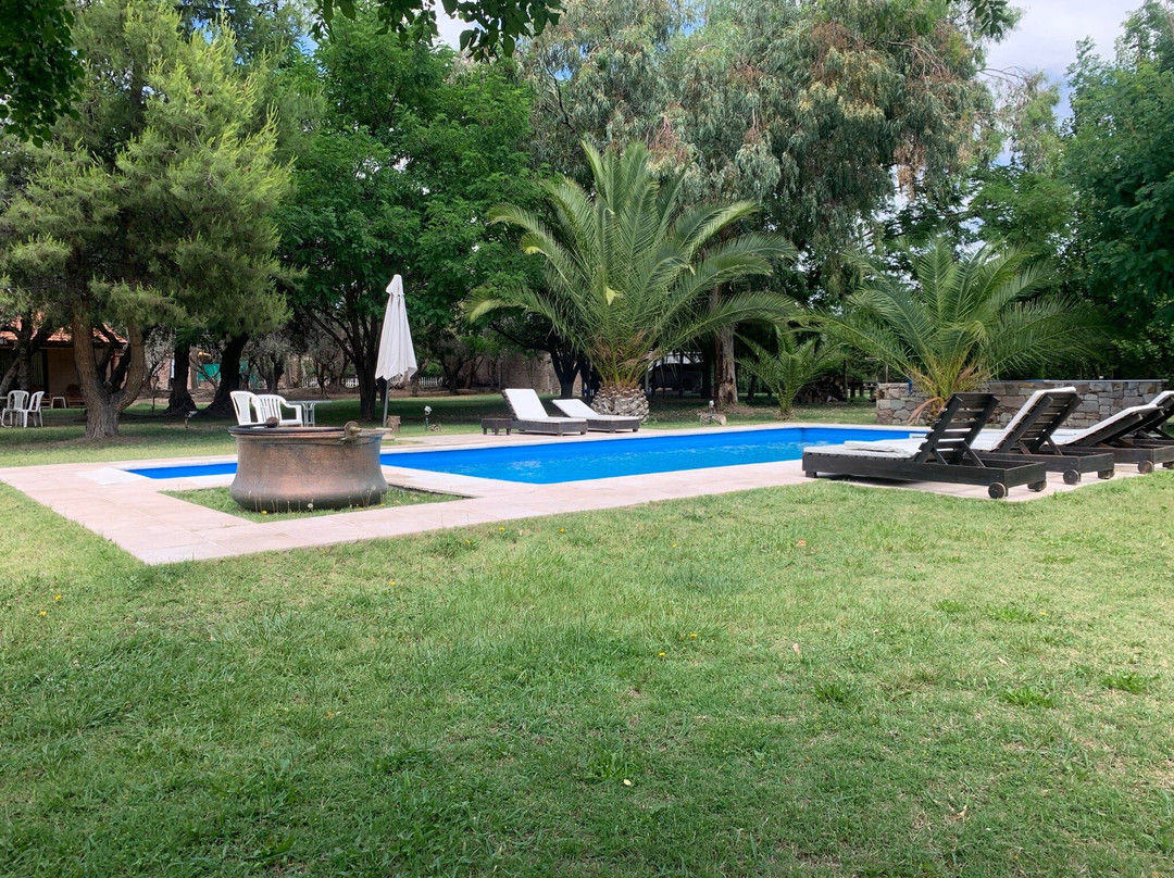 Suter Petit Hotel主图