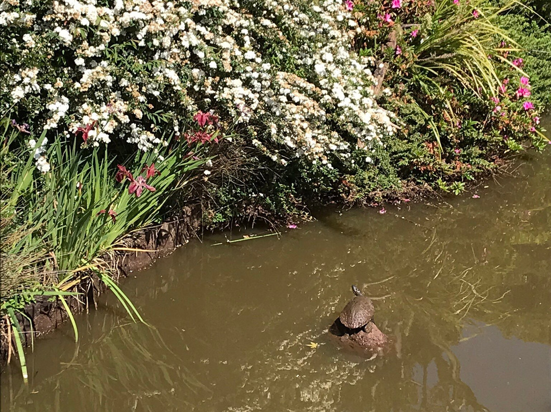 Japanese Garden-图沃柏必去景点