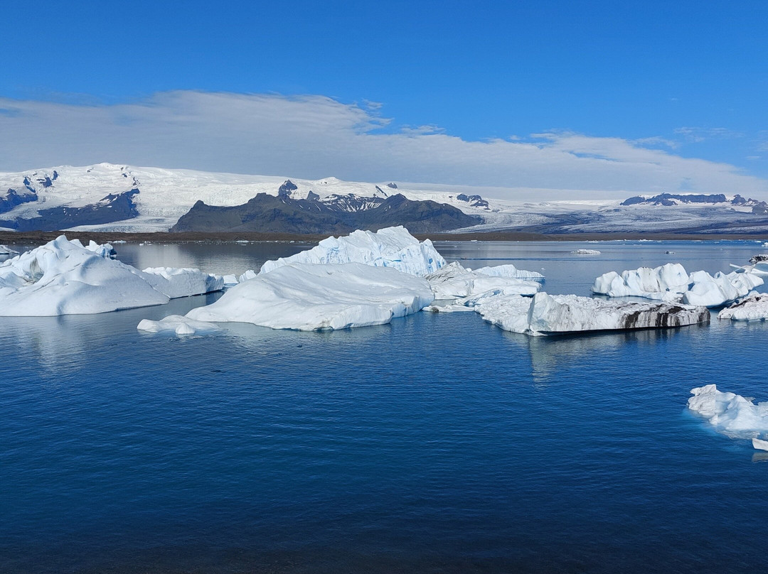 Andy Iceland Guide-雷克雅未克必去景点