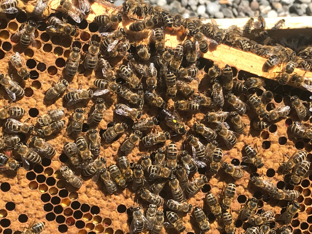 Hotel Restaurant Kaiserhof主图