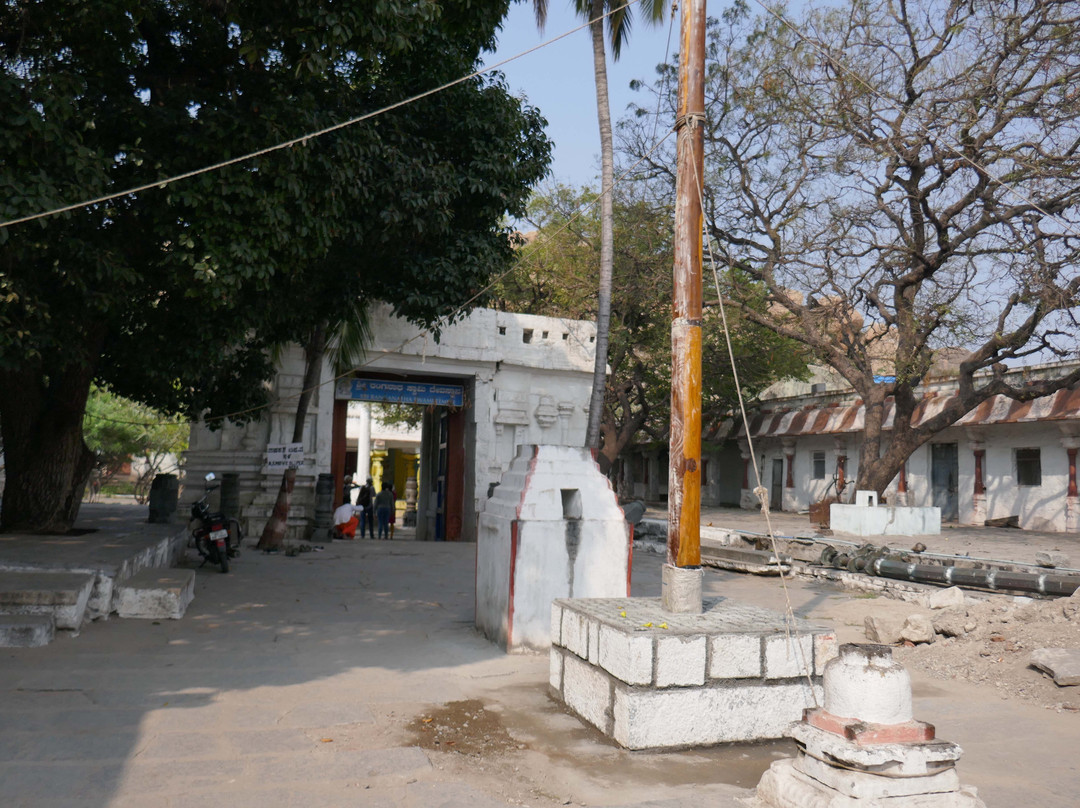 Ranganathaswamy Temple景点图片