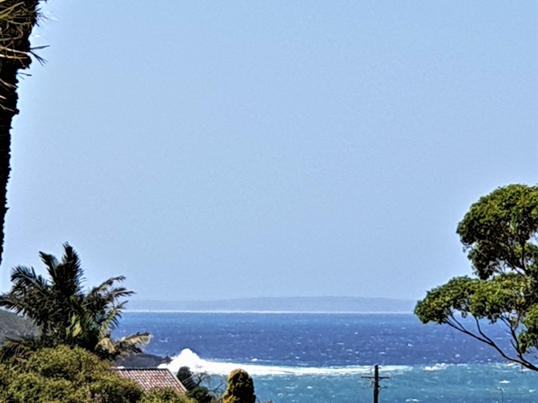 Mollymook Motel主图