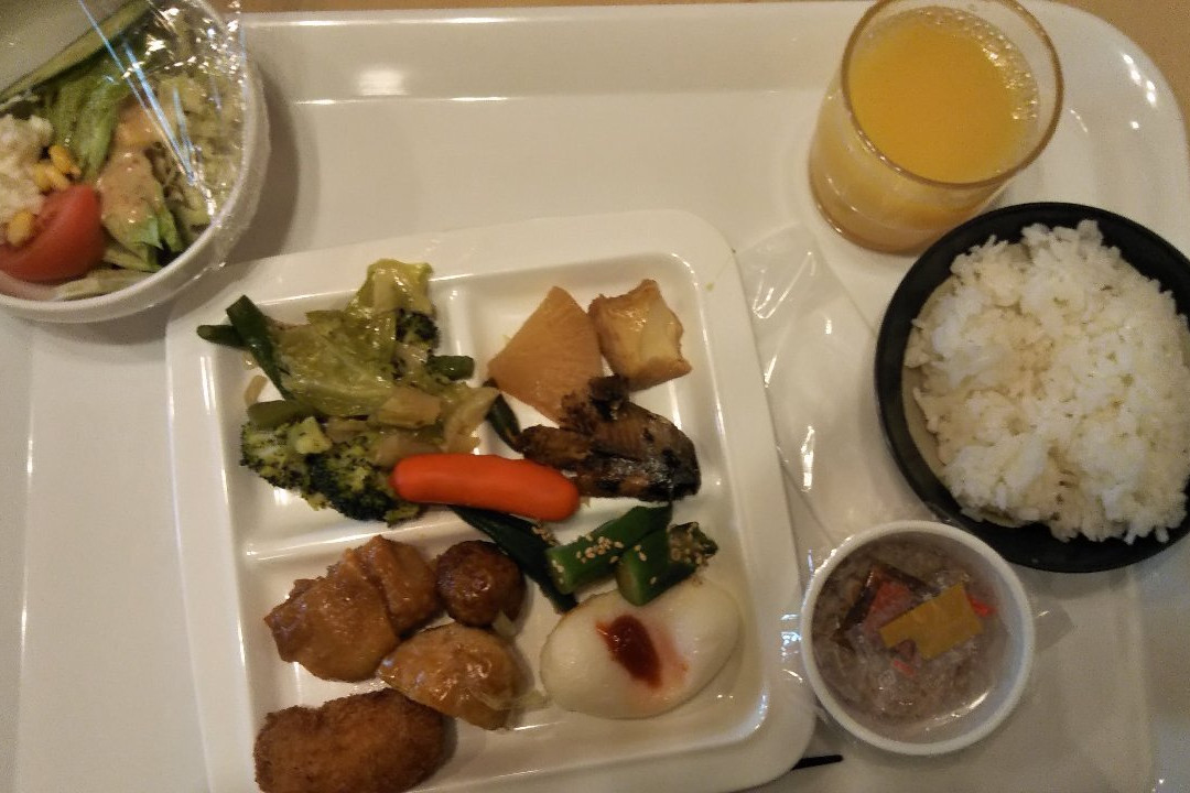 Toyohashi Station Hotel主图
