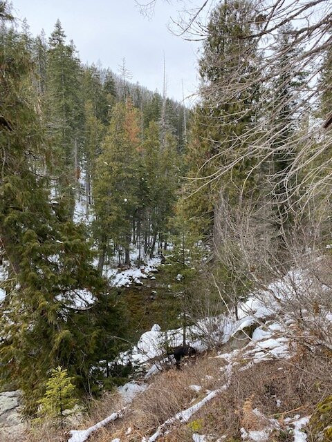 Jerry Johnson Hot Springs