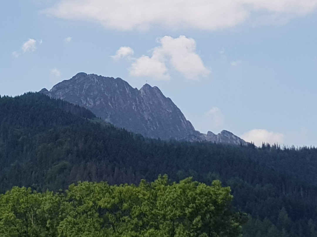 Nosalowy Dwór Resort & SPA主图